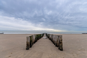 wooden groyne on the beach in Vlissingen, Zeeland, Netherlands
