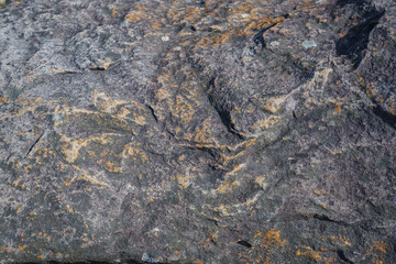 Fototapeta premium Stone wall background abstract texture