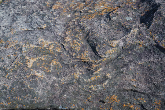 Stone wall background abstract texture