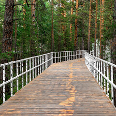 wooden bridge in the forest, wide wooden bridge with white railings in a dense forest among pine trees, Burabay Kazakhstan