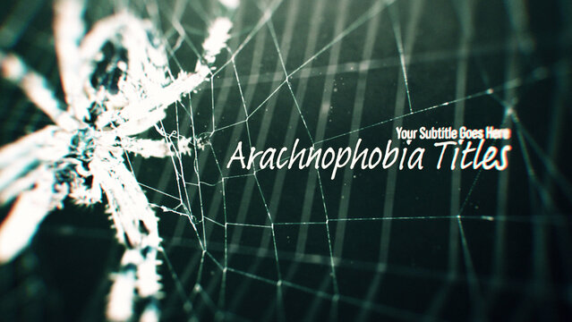 Arachnophobia Horror Titles Includes Footage of Spiders