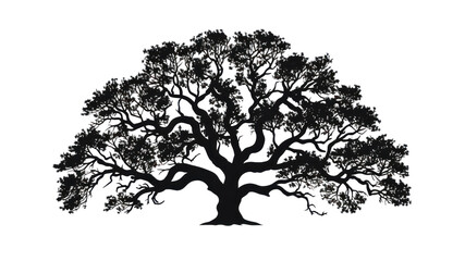 Oak tree logo illustration, vector silhouette of tree on transparent or white background. lonely.