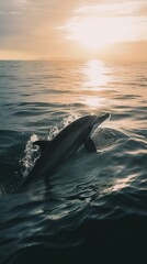 Naklejka premium Dolphins leaping from the sea or ocean, displaying their playful and energetic nature. Joyful and acrobatic behavior of these intelligent marine mammals in their natural habitat.