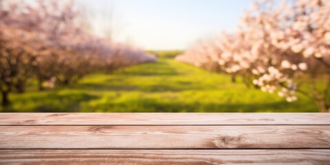 Naklejka na ściany i meble Empty wooden table with Sakura field landscape