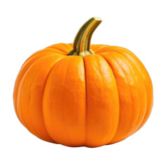 Pumpkin isolated on transparent and white background. PNG transparent