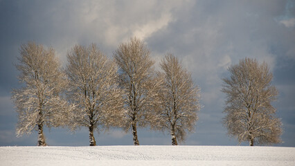 Winterzauber