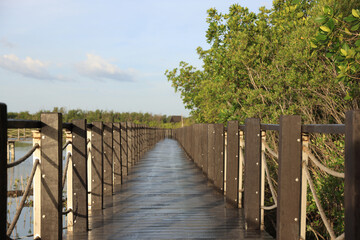 Obraz premium A peaceful and happy path to success.