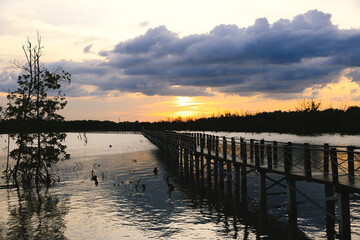 Travel in nature is a serene experience. Walking on a wooden bridge walkway amidst a mangrove forest can be a great way to calm your mind and improve your mental health,