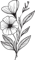 Small periwinkle flower tattoo for kids, hand-drawn periwinkle flower, periwinkle line art, vinca flower home wall decor art poster printing, sadabahar tattoo black and white