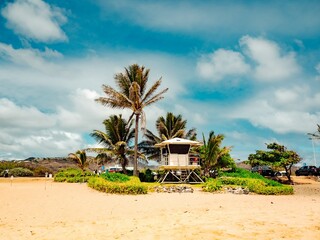 A lone lifeguard tower stands tall against the vibrant hawaiian sky, overlooking the lush landscape...