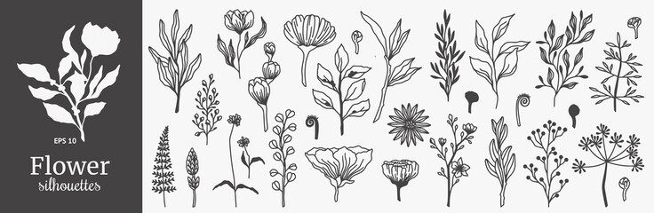 Floral ornament. Hand drawn flowers, plant leaves, nature doodle leaf and line branch. Black silhouettes. Spring herbs and blossoms collection for decor. Vector outline monochrome decoration set