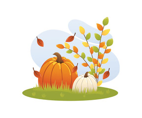 Pumpkins and autumn leaves on a white background
