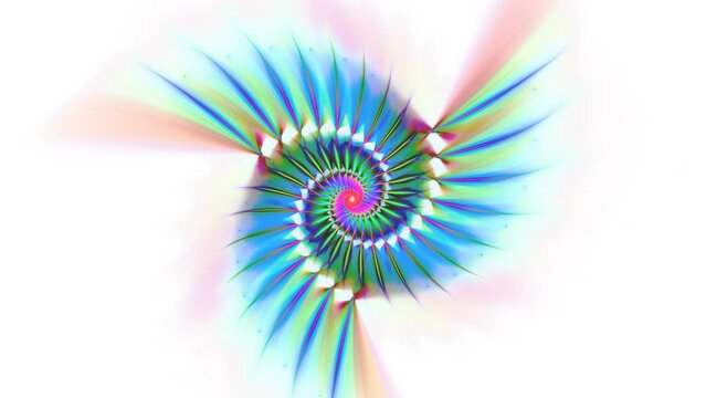 Spiraliform colorful pattern rotating, transforming, changing shape, size on white. Fibonacci spiral. Fractal revolving iridescent background with abstract twirling around center. 4K UHD 4096x2304