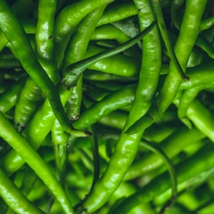 Green Chili pepper background or wallpaper. Green chili hot pepper clipping path. Fresh pepper