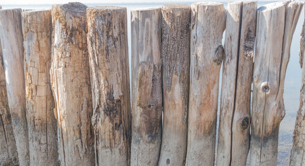 Ponton de bois dans un étang en Camargue, Sud de la France. - obrazy, fototapety, plakaty
