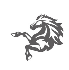 black and white horse