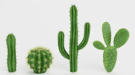 Raamstickers Cactus Realistic 3D Render of Cactuses Set