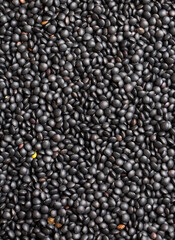 Black lentil seeds in detail