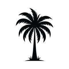 Coconut tree black sihouette vector eps.