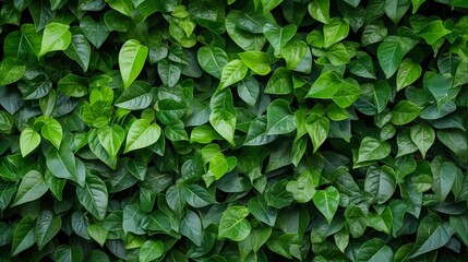 Green leaves background and  texture background, Generative AI illustrations.
