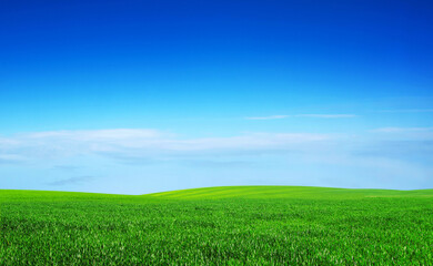 Naklejka premium field on a background of the blue sky