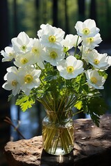 Beautiful white forest flowers anemones and ladybug in sunlight on yellow and green background, template with space for text Elegant exquisite tender artistic image of spring nature macro