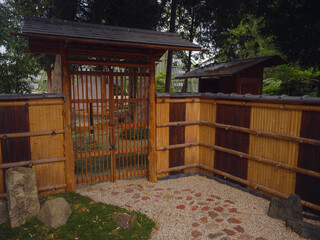 Japanese garden in Vienna (inside Botanical garden): Japanese maple, topiary small pine trees, stepping stones, moss, small stream among trees