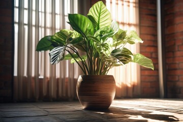 A potted plant sitting on a tiled floor in front of a window. Suitable for interior design and home decor projects