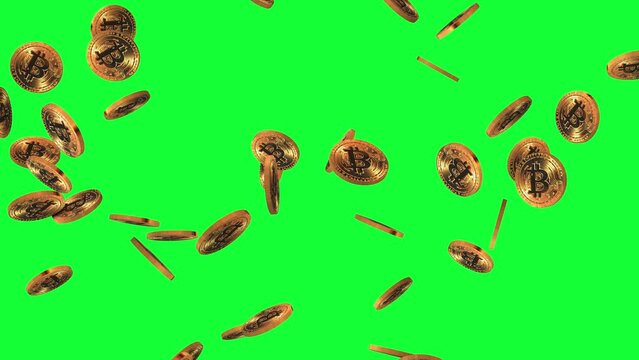 Slow Motion Of Gold Bitcoin Falling On Green Screen Background. Blockchain Business And Share Market Btc Analysis Background. 3d Digital Crypto Currency Falling On Green Background.  Loop Animation