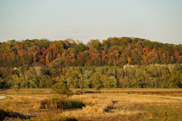 Fall leaves on trees on bluff overlooking field