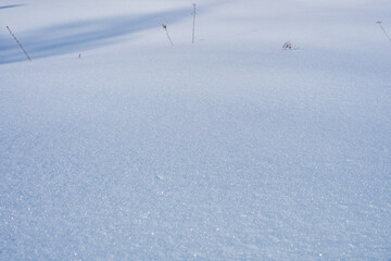clean and fresh shimmering white snow lies in white flakes in the clearing