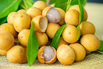 Ripe Pitomba fruits (talisia esculenta), an exotic fruit from the Brazilian tropical forest and bioma cerrado. Ripens in the months of November and December