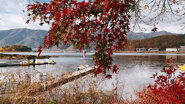 lake in autumn,autumn, water, tree, lake, landscape, nature, fall, river, trees, sky, forest, park, reflection, pond, green, foliage, season, beautiful, leaves, wood, blue, grass, natural, red, summer