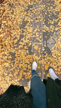 person walking through leaves, yellow leaves, fall,old, autumn, abstract, texture, nature, green, pattern, tree, yellow, art, color, wall, moss, stone, leaf, lichen, religion, leaves, architecture, co