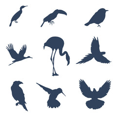 A set of silhouettes of various exotic birds