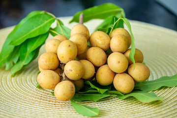 Ripe Pitomba fruits (talisia esculenta), an exotic fruit from the Brazilian tropical forest and bioma cerrado. Ripens in the months of November and December