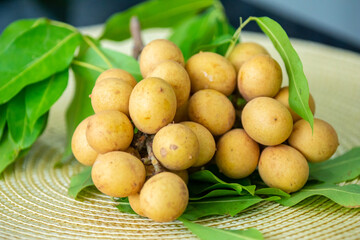 Ripe Pitomba fruits (talisia esculenta), an exotic fruit from the Brazilian tropical forest and bioma cerrado. Ripens in the months of November and December