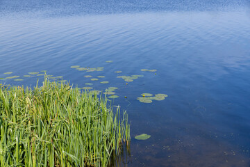 lake in sunny summer weather