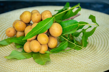 Ripe Pitomba fruits (talisia esculenta), an exotic fruit from the Brazilian tropical forest and bioma cerrado. Ripens in the months of November and December