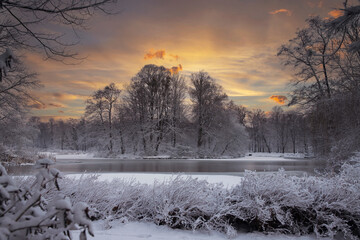 Krajobraz zimowy, zaśnieżone, białe drzewa, świt w parku	