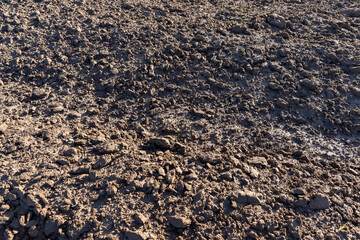 close-up of a field of fertile soil
