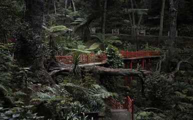 Botanical garden with a red bridge
