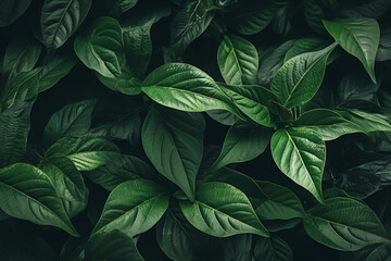 Green leaves pattern background - obrazy, fototapety, plakaty