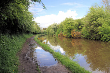 Fototapeta na wymiar A view of the Shropshire Union Canal at Whitchurch