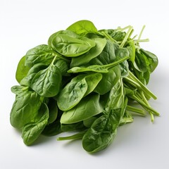 Bundle of fresh spinach on transparent and white background