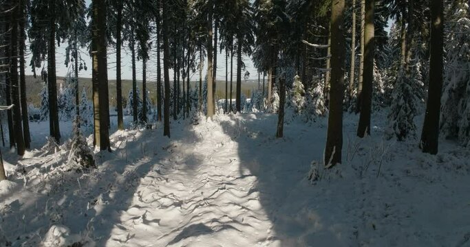 Aerial: Drone Forward Beautiful Shot Of Frozen Trees In Forest In Winter - Oberhof, Germany