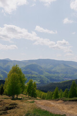 Fototapeta na wymiar The Carpathian mountains are green, with a bright sky