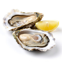 A raw oyster with lemon slice isolated on white background 