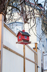 Red bird feeder hanging on a tree on a sunny winter day