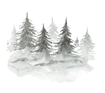 Beautiful watercolor illustration of textured gray coniferous fir forest. Mysterious monochrome pine trees texture for winter Christmas design, print, decor element, sticker